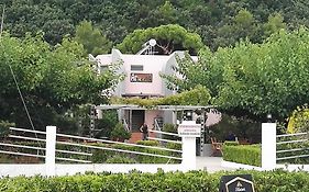 Άγκυρα Studios